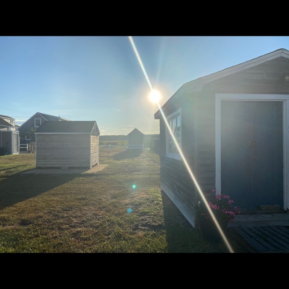 Meet your Posher, Carolyn - Picture 1 of 1